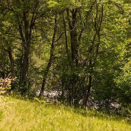 Vakantiehuis Guettee Des Alpes - Cite Medievale, Allos & Verdon Colmars