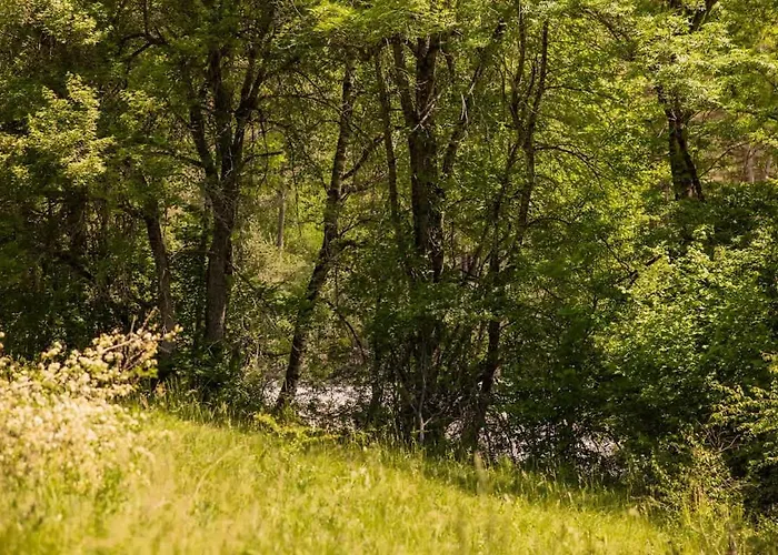 Holiday home Guettee Des Alpes - Cite Medievale, Allos & Verdon Colmars